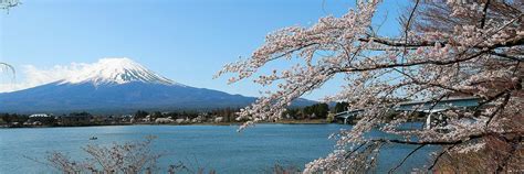 Fuji Five Lakes Travel Guide - What to do around the Fujigoko