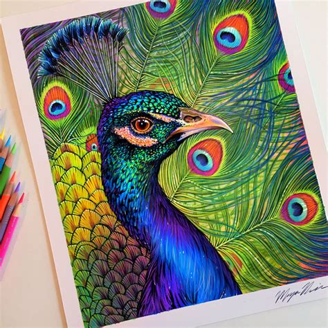 Colored pencil peacock drawing. | Arte pavo real, Arte de aves ...