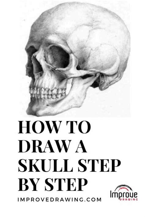 Fabulous Tips About How To Draw A Realistic Skull - Sumresort14