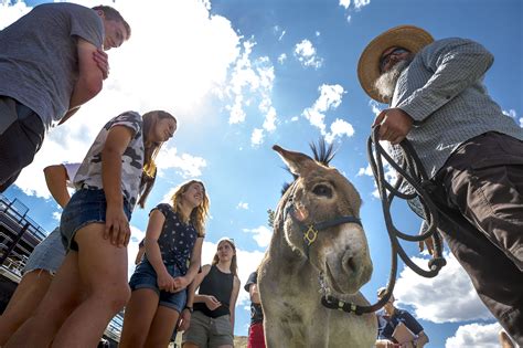 Meet The Donkeys Who Duked It Out To Become The New, Long Face Of The Colorado School Of Mines