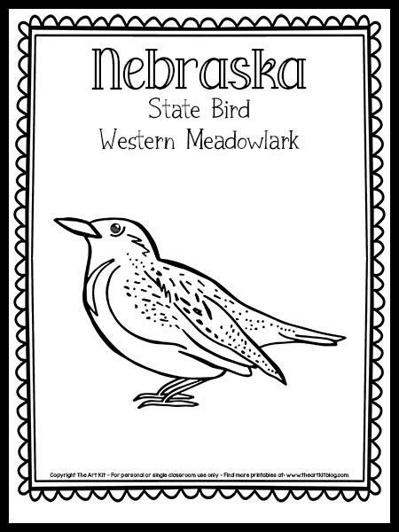 Nebraska State Bird (Western Meadowlark!) Coloring Page {FREE Printable ...