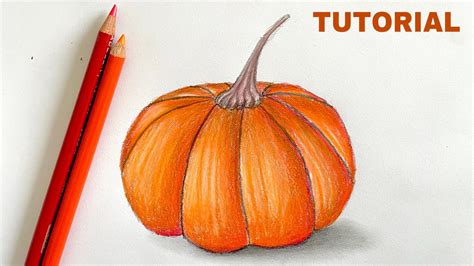 Pumpkin Pencil Drawing