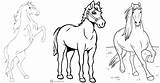 25 Free Horse Coloring Pages For Kids And Adults  Blitsy sketch template