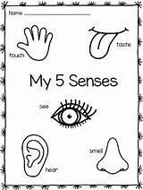 5 Senses Coloring Pages Sketch Page sketch template