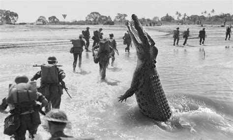 The Ramree Island Massacre - The Worst Crocodile Attack in History | Opposing Fronts