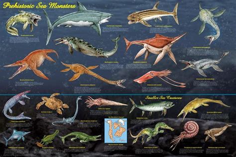 Pin de Colleen O'Meara en Don't Ask | Monstruos marinos, Dinosaurios acuaticos, Prehistorico