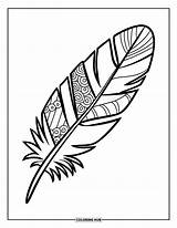 115  Feather Coloring Pages For Kids & Adults Free Printable PDFs sketch template