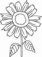 Pretty Sunflower Coloring Page  Free Clip Art sketch template