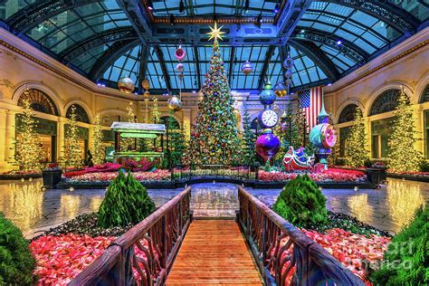 Bellagio Conservatory Christmas Tree 2021 Full Photograph by Aloha Art ...