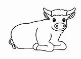 Sitting ox  Coloring Page sketch template