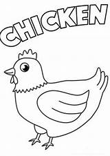 Chicken Sheets Printable A4 Coloring Pages sketch template