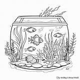 Aquarium Coloring Pages  Free & Printable sketch template
