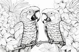 Premium Photo  Coloring Book Black Outline Tropical Paradise Lush Palm sketch template