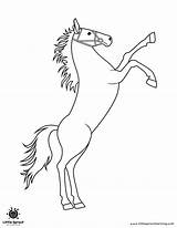 Best Horse Coloring Pages  Little Sprout Art Learning Lab sketch template