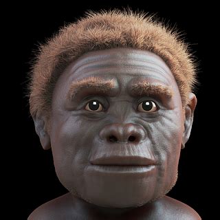 ATOR: Homo floresiensis