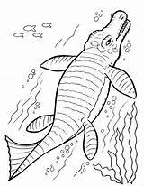 Swimming Dinosaurs Coloring Page  ColoringBay sketch template