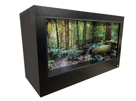 Australia- Temperate Rainforest | Reptile Enclosure Backgrounds – Toad Ranch