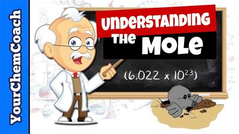 What is a Mole and How to Use the Mole in Chemistry - YouTube