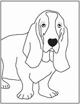 Basset Hound Dog Coloring Page Pages sketch template