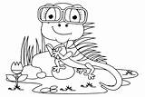 Cute Iguana Coloring Page  Free Printable Pages sketch template