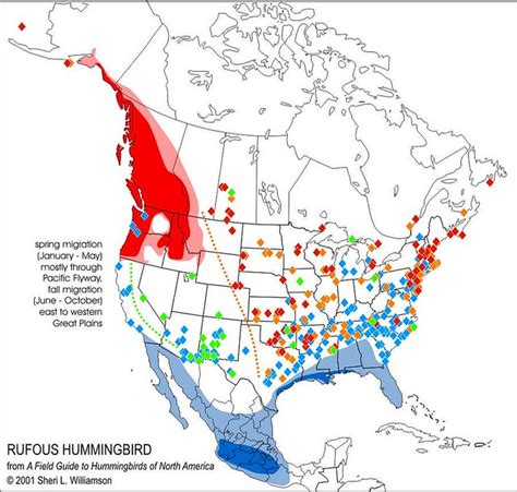 Rufous Hummingbird range map | Flickr - Photo Sharing!