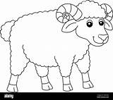 Sheep Coloring Pages sketch template
