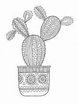 Succulent coloring Pages sketch template
