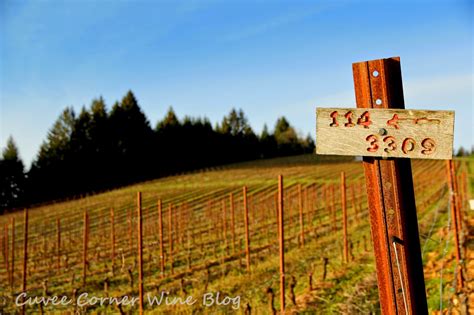 The Cosmic Brick: Dry Sticks in Oregon Mud