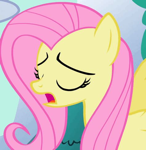 Fluttershy Crying Gif