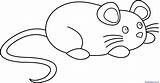 Mouse coloring sketch template