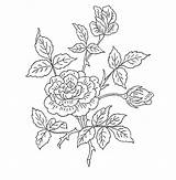 Flowers For embroidery Or coloring  Coloring Book Crafts sketch template