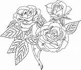 Free Printable Roses Coloring Pages For Kids sketch template
