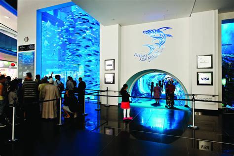 Dubai Aquarium and Underwater Zoo - Shocking World