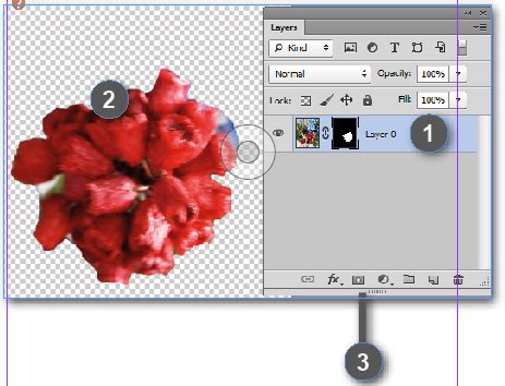 What are Adobe Photoshop Layer and Vector Masks? - Creative Studio