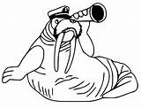 Walrus And Flowers Coloring Page  Free Printable Pages For Kids sketch template