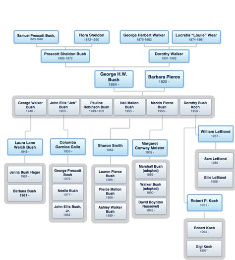 GEORGE W BUSH Family Tree PICTURES PHOTOS and IMAGES | Bush family, Family tree, Family tree ...