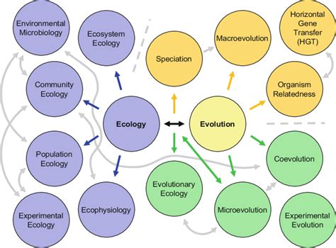 Various perspectives on ecology and relationships of ecology with... | Download Scientific Diagram