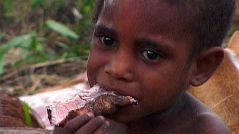 BBC Two - Indigenous Peoples: Climate and Eco-Systems, Cannibal tribe in the Papua New Guinea ...