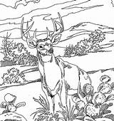 Hunting Coloring Page  Home sketch template