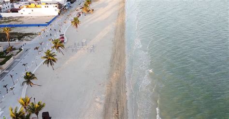 Drone Footage of a Beach Free Stock Video Footage, Royalty-Free 4K & HD Video Clip