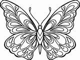 Butterfly Images For Colouring sketch template