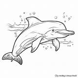 Dolphin Coloring Pages  Free & Printable sketch template