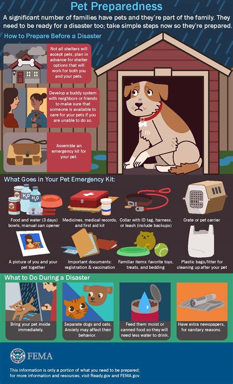 Keep your pets safe in an emergency: 5 things to know | Blogs | CDC