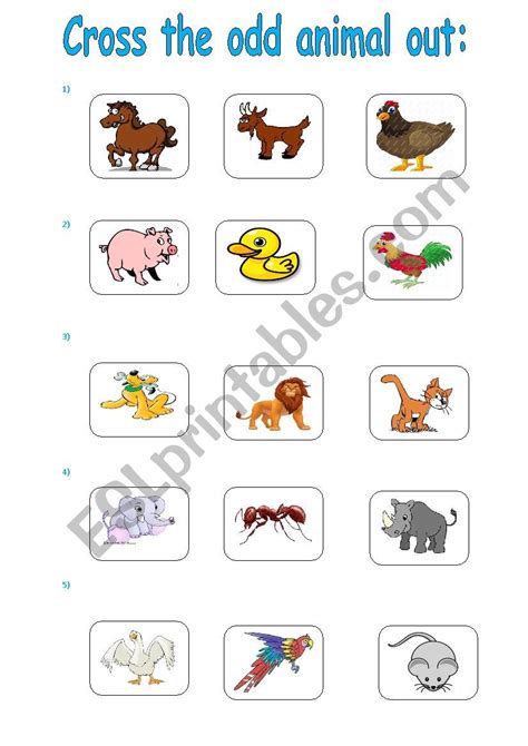 animals-cross the odd one out - ESL worksheet by ewelkar4