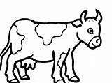 Free Printable Cow Coloring Pages For Kids sketch template