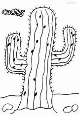 Printable Cactus Coloring Pages For Kids  Cool2bKids sketch template