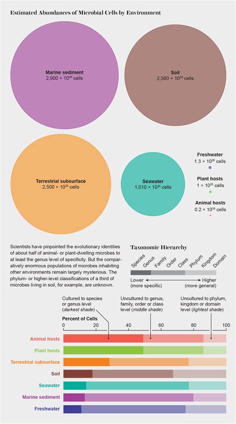 Most Microbial Species Are "Dark Matter" - Scientific American