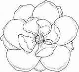 Large Flower Coloring Page At GetColoringscom  Free Printable sketch template