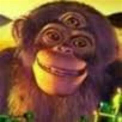 Gorilla, Dna, Monkey, Paul, Google Search, Memes, Jumpsuit, Meme, Monkeys