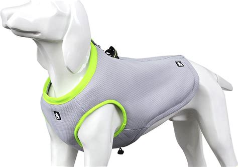 Best Cooling Vest For Dogs With Ice Packs - Home Future Market